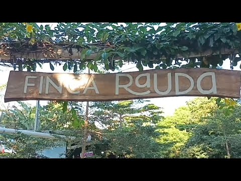 Finca Rauda, Alegría/ Usulután /El salvador 