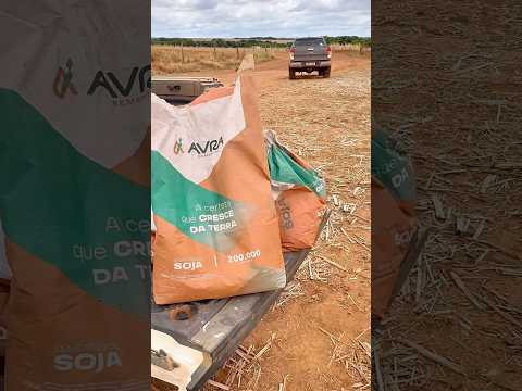 O plantio começou a todo vapor na Fazenda Cachoeira, em Montividiu (GO), com a AVRA 2471 I2X.