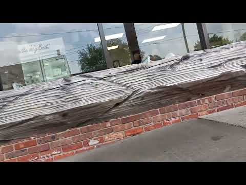 Business Getting Bugged by Carpenter Bees in Somerset, NJ