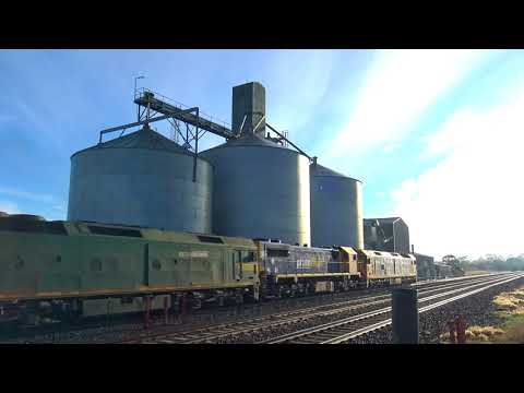 Two boxes and a hood nose scream through Lara on the fruity