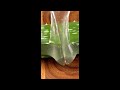 Cutting Open THICK Aloe Vera Slime Satisfying Gooey Gel Ooze ASMR