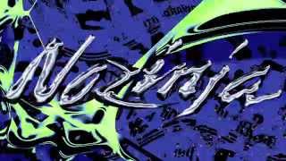 ‘Nozinja Lodge’ Album Trailer