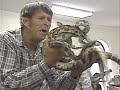 Snake Handlers - "Beyond Bizarre" 1990s TV show segment