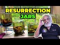 Master Aquarist Secret For Growing Live Food In Your Aquarium