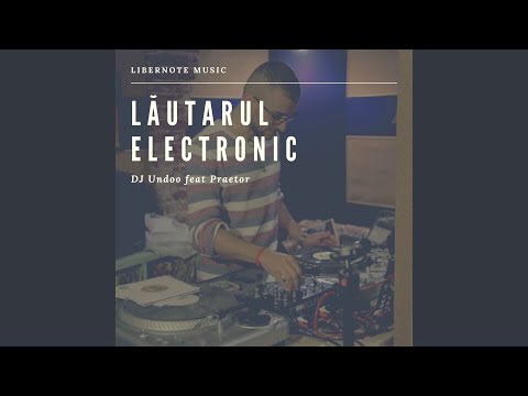 Lăutarul Electronic (feat. Praetor)