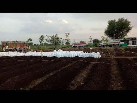Organic Vermicompost Fertilizer and manure