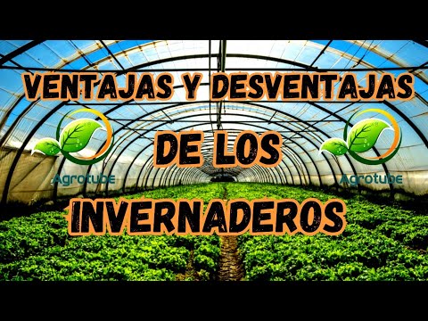 Invernaderos. Ventajas y Desventajas del Invernadero. Invernadero Beneficios.