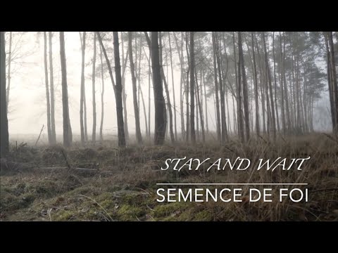 Stay and Wait (Acoustic) - Hillsong UNITED / LYRICS