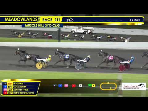 August 6, 2021 - Muscle Hill 3YO Colt & Gelding Trot