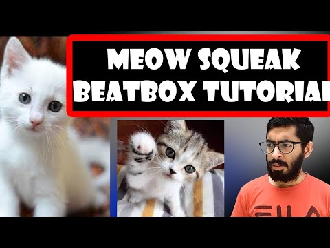 Cat Sound / Meow Squeak Beatbox Tutorial || Hindi || Kunal Bbx Tutorial#12