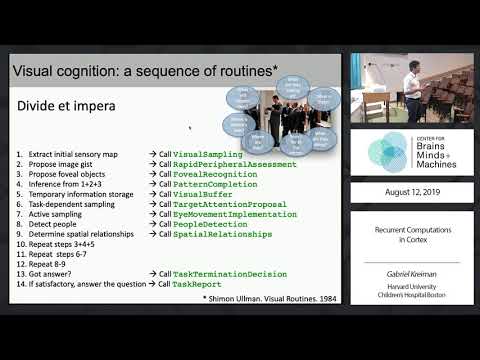 Recurrent Computations in Cortex