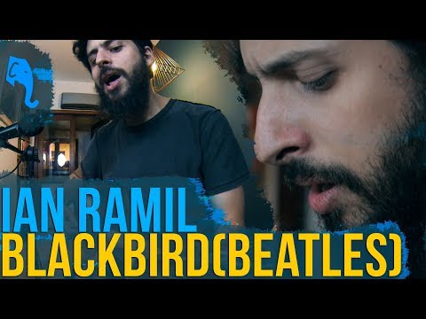 black bird (Beatles) - Ian Ramil | ELEFANTE SESSIONS