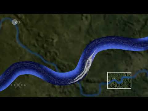 Warum mäandern Flüsse? | Mit Untertitel | CC BY 4.0