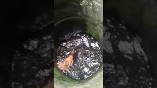 Download lagu anak nekat masuk sumur mp3 Download lagu anak nekat masuk sumur mp3