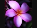 8 PEACE SONG SET BY Z - WORLD PEACE DAY ...