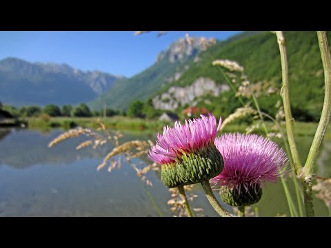 Ali-pašini izvori (Ali-Pasha's Springs)