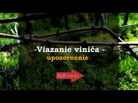 , title : 'Viazanie viniča -  upozornenie'