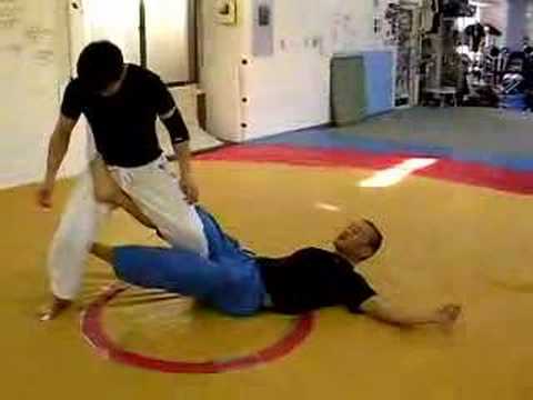 デラヒーバガードからバックへの移行(2008-1-19)