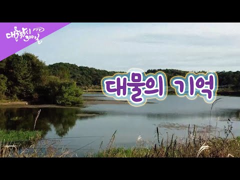 리뷰이미지