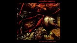 Controlled Bleeding   -   Darkening Skies    [07.25]