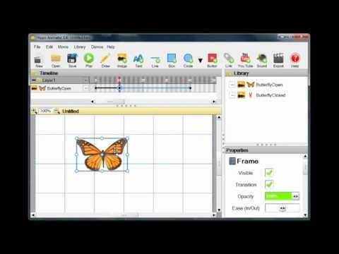 The Butterfly Effect