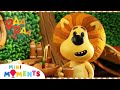 Get Ready With Raa Raa ️ Raa Raa The Noisy Lion Full Episodes Mini Moments
