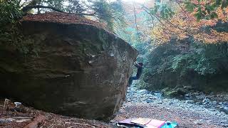 京都西山 錦雲ボルダー  夏みかん､剥こうとしたら指折れた 4級(紅葉バージョン)