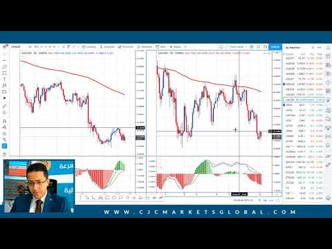 Daily Market Review - 24th of March 2021