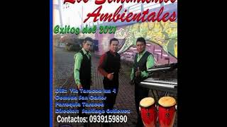 Los Sentimiento Ambientales 🎶❤️WARMI MAMA❤️ VOL.2🎶