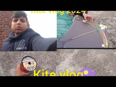 ludhiana kite vlog 2024 aj apa Udai Patang #kite vlog