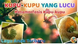 Download lagu Kupu-Kupu yang Lucu | Lagu Anak Terbaru | Metamorfosis Kupu-Kupu mp3
