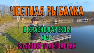 Платная рыбалка кирпили пластуновская