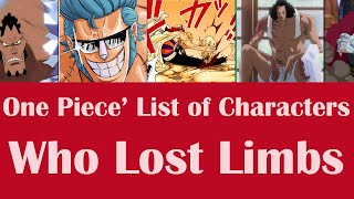 One Piece List of Characters Who Lost body parts