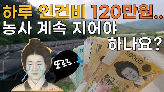 농촌 하루 인건비? 농촌의 현실!! 인력사무소