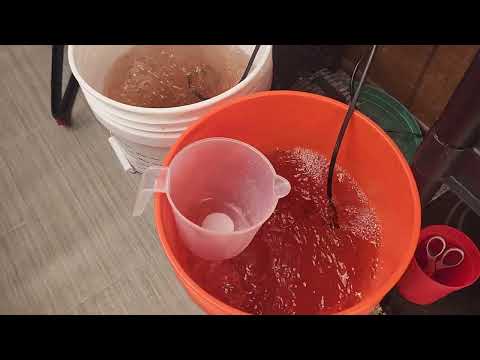 Solfire Genetics Run