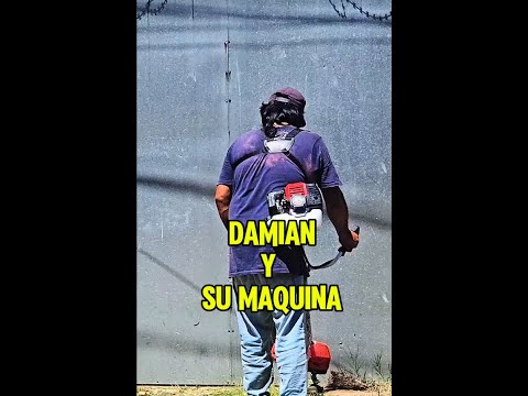 Damian and his new venture 🥹🥰