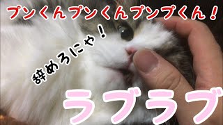 プンくんといちゃいちゃしちゃったお！