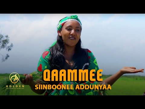 Siinboonee Addunyaa - Qaammee - Ethiopian Oromo Music 2020 [Official Video]