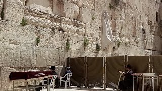 שידור ישיר תפילת מנחה בכותל 
Live Mincha at the Western Wall