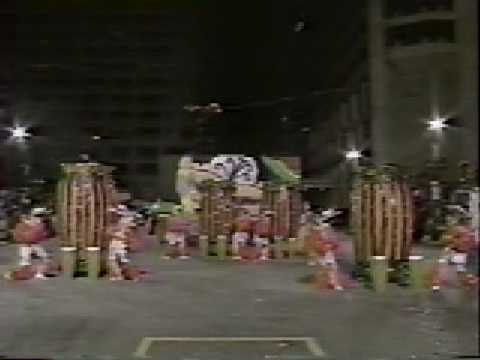 1991 Bill McIntyre's Shooting Stars "Flying Down to Rio"