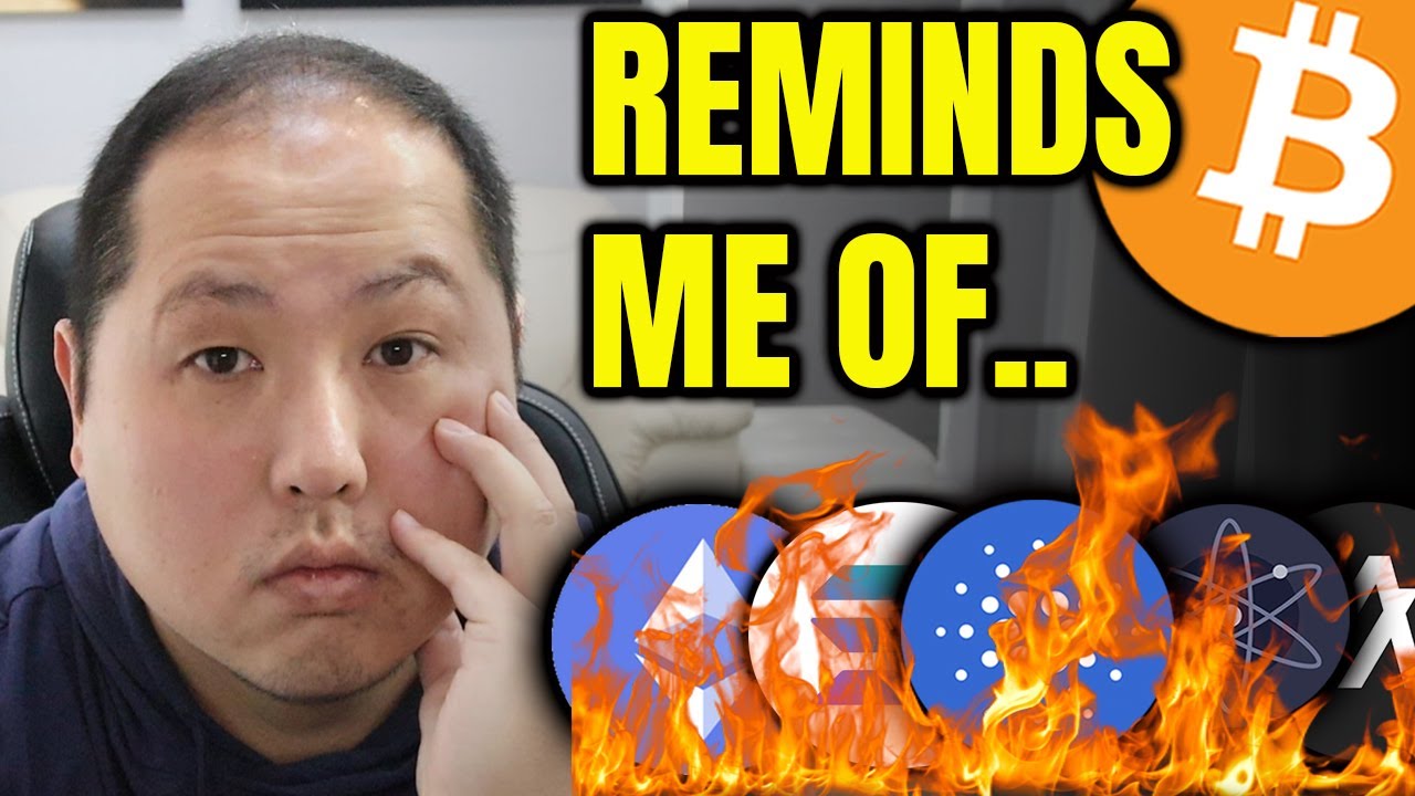 BITCOIN HOLDS WHILE ALTCOINS BURN | REMINDS ME OF...