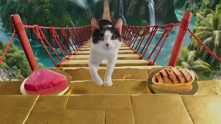 Friskies Explore the World of Friskies Dry Cat Food