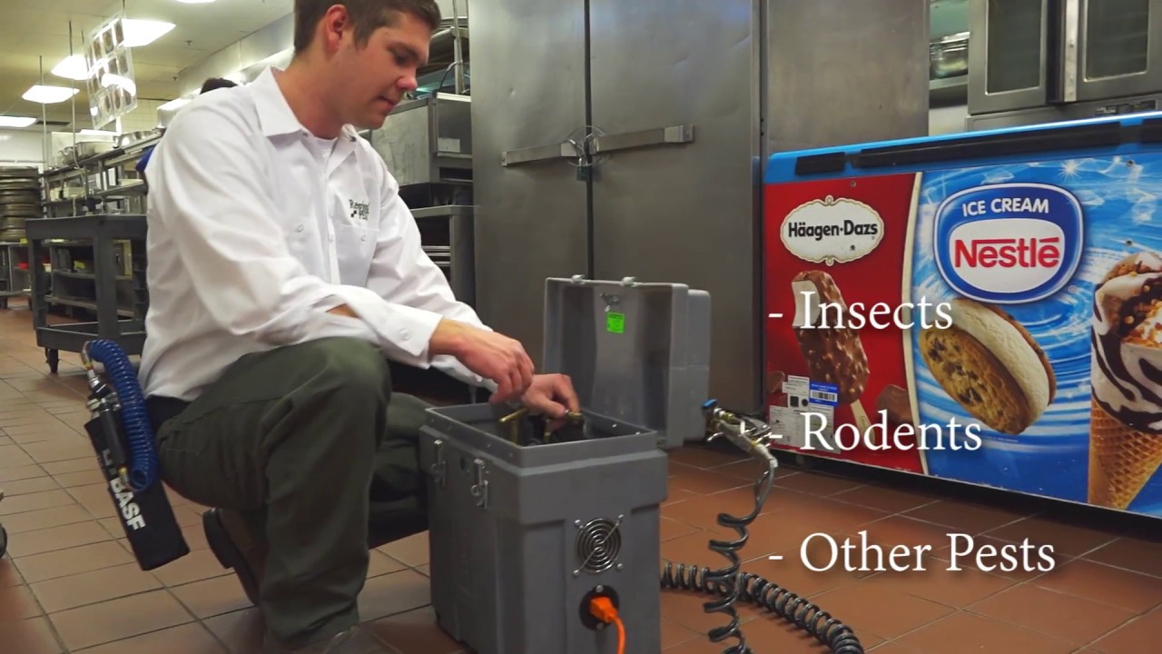 Restaurant Pest Prevention