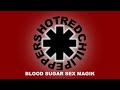 Hot Red Chili Peppers - Blood Sugar Sex Magik - Live