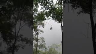 preview picture of video 'PRIMER CABLE BAJO LA NEBLINA CANOPY ESTREMO EL CHIFLADOR.'