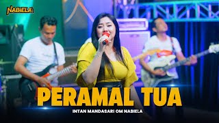 Download lagu PERAMAL TUA - Intan Mandasari OM NABIELA mp3