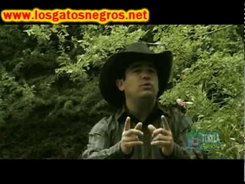 Los Gatos Negros La Pareja Ideal