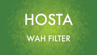 Video thumbnail for Hosta Wah Filter - Flower Pedals by Flower Pedals