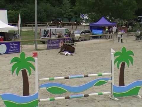 Chute de cheval en concours (RISSA DU VIVIER)