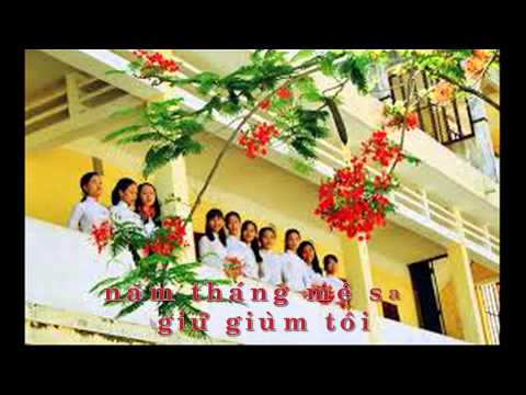 Nỗi nhớ mùa hè Sheet - Nguyễn Minh Châu